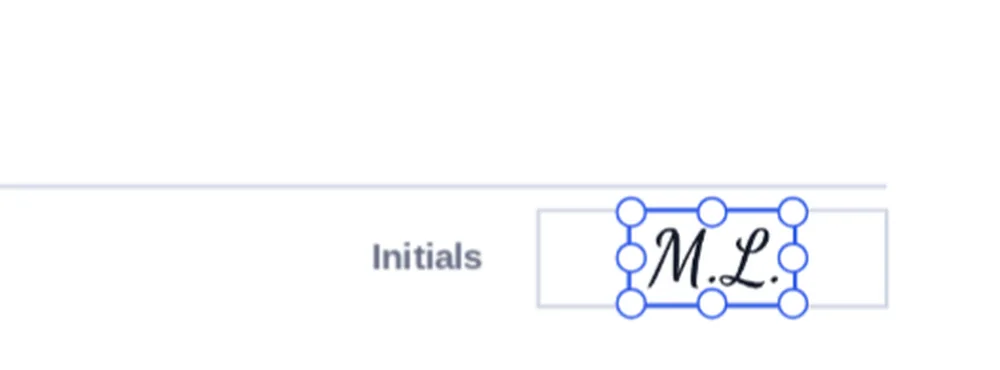 Initials placed in the initials box after you add initials to PDF pages